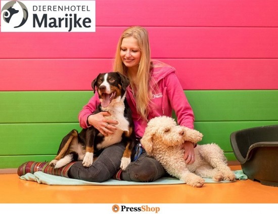 Dierenhotelmarijke