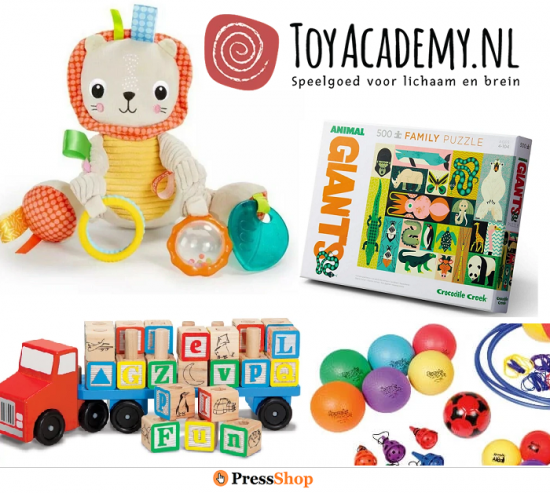 Toyacademy